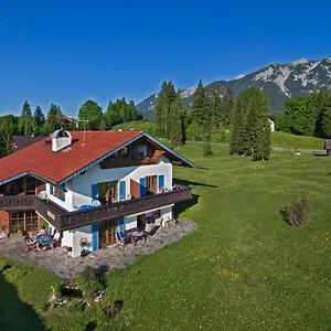 Arnika , Krün Deutschland